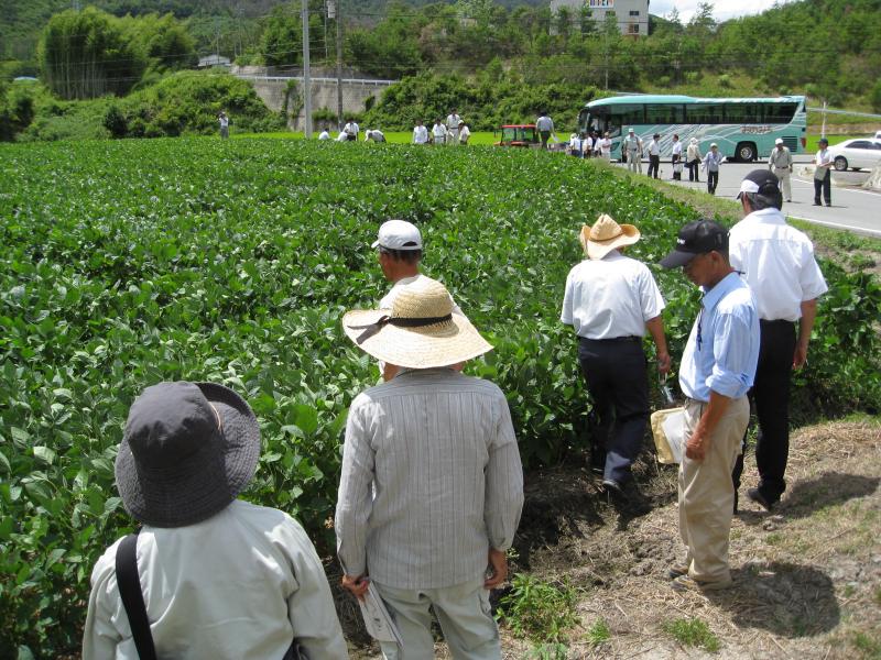 農事組合法人うづと圃場