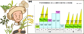 戸別所得補償制度イメージ