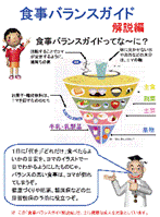 解説編