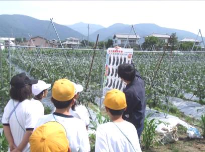 農家見学
