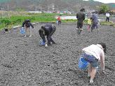 田つくり