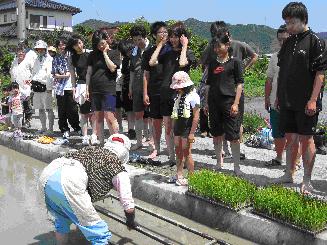 鳴門市大麻長牛屋島