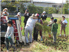 川内の稲刈りその三