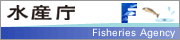 Fishery Agency small