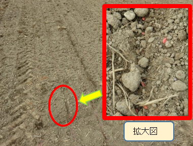 乾田直播栽培(は種作業)視察