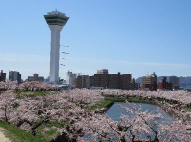 函館市 五稜郭公園
