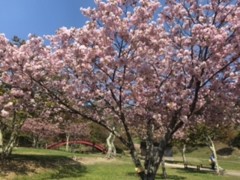 女性農業者グループ交流会を開催しました