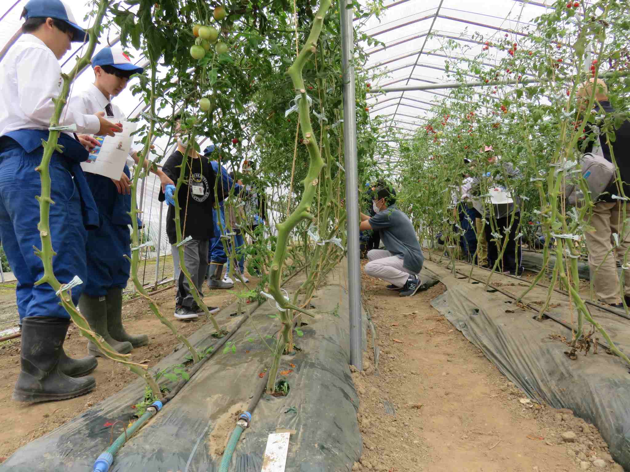 木造のワイナリーの建物の様子