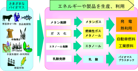 バイオマスの可能性