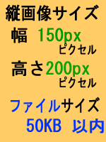 サイズ見本縦