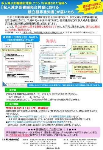 チラシ「積立額等通知書が届いたら」