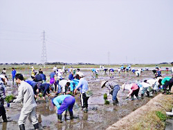 大曽根田んぼアート田植え