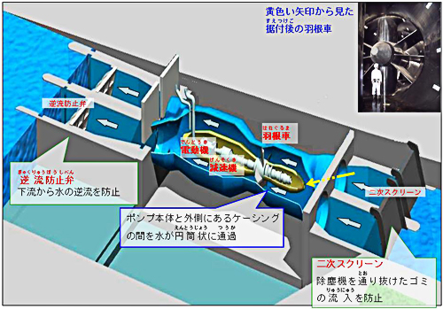 新川河口排水機場ポンプ構造