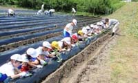 おおい町立名田庄小学校