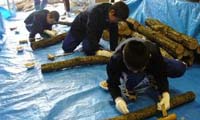 美浜町立新庄小学校