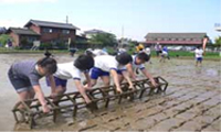 根岸地区保全会