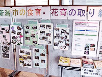 展示コーナー