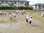 新潟市立木戸小学校の田植えの様子