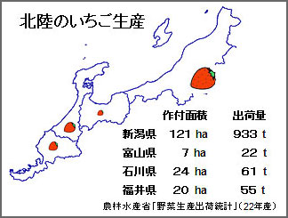 北陸のいちご生産