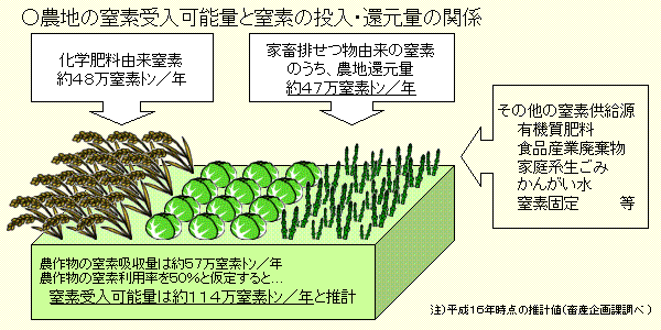 農地の窒素受入可能量と窒素の投入・還元量の関係