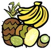 果物のイラスト