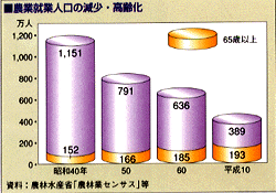  農業就業人口の減少・高齢化