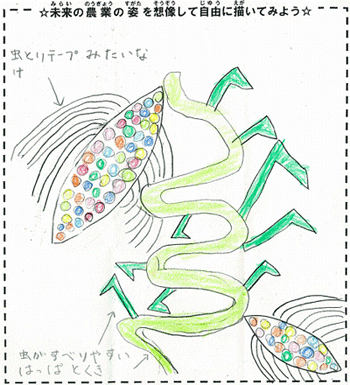 虫がつかないトウモロコシ画像