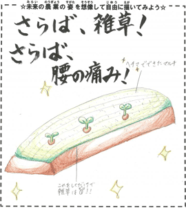 イラストヘチマルチ