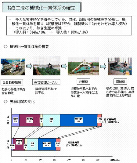 ねぎ生産の機械化一貫体系の確立