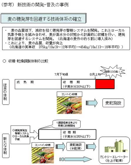 麦の穂発芽を回避する技術体系の確立