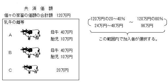 包括共済の共済価額
