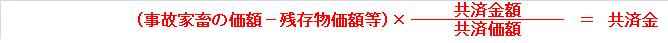 共済金計算式