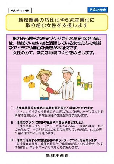 24年度予算チラシ