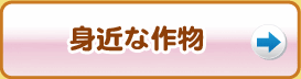 身近な作物