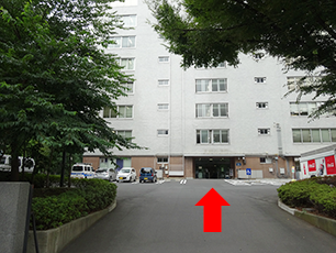 農林水産省本館南門です。