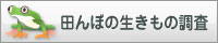 田んぼの生きもの調査