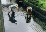 平成21年度「疎水のある風景」写真コンテスト2009  農村振興局局長賞
