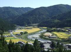 馬瀬地方自然公園づくり委員会〔外部リンク〕