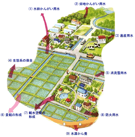 多面的役割イメージイラスト