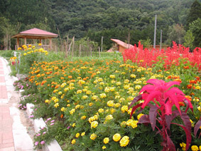 沖の原ふれあい農園