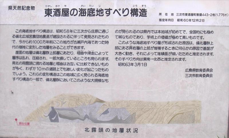 形成過程
