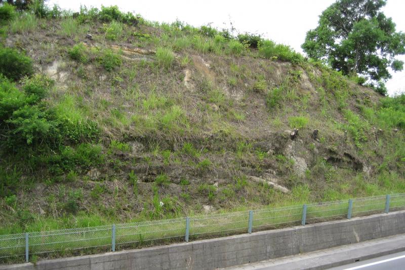 全景