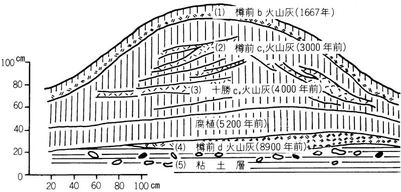 断面図