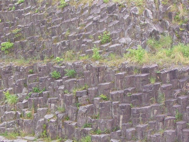 全景２