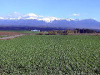 上富良野町ウォーキング(北海道)5