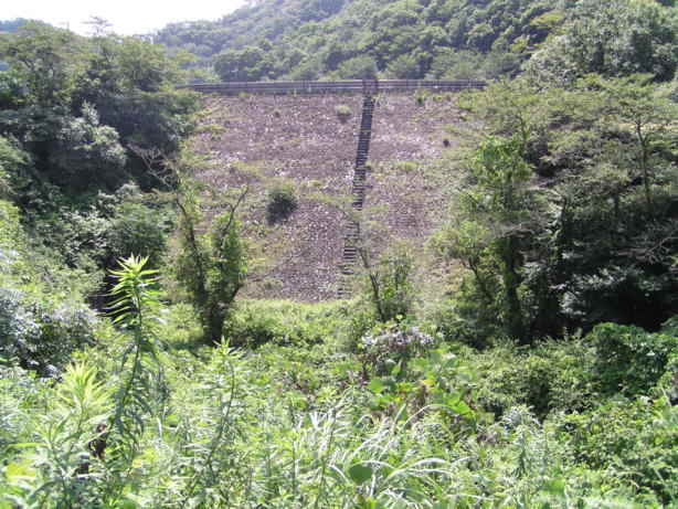 小渕ため池