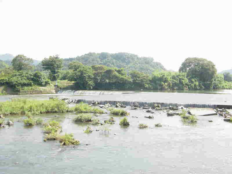 蓼川井堰1