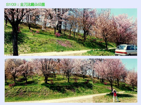 金刀比羅山公園