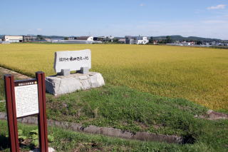 水田風景