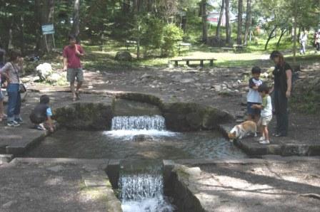 八ヶ岳南麓湧水